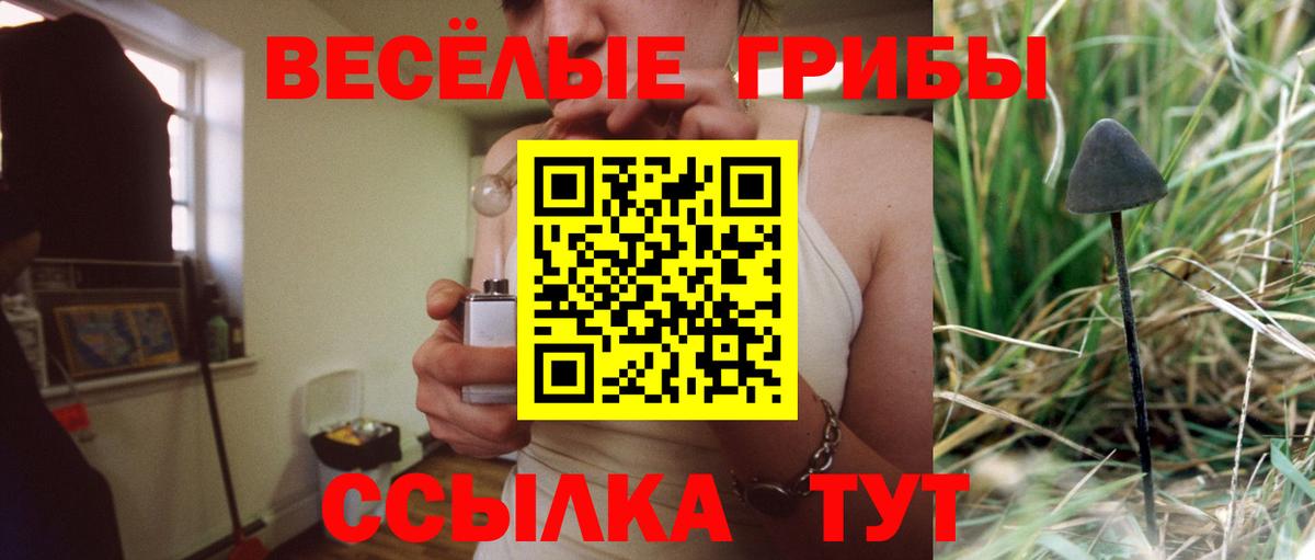 где можно купить наркотик  Галлюциногенные грибы мухоморы  Вход с VPN  Сызрань 